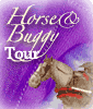 Horse and Buggy Tours